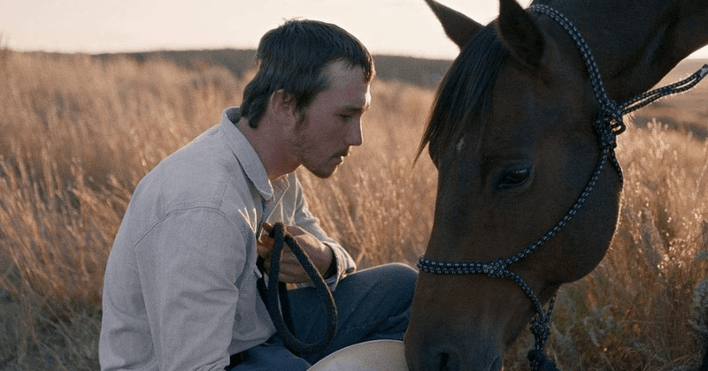"I'm still going to keep training horses": 'The Riders' star Brady Jandreau on his new film and reliving his cowboy life