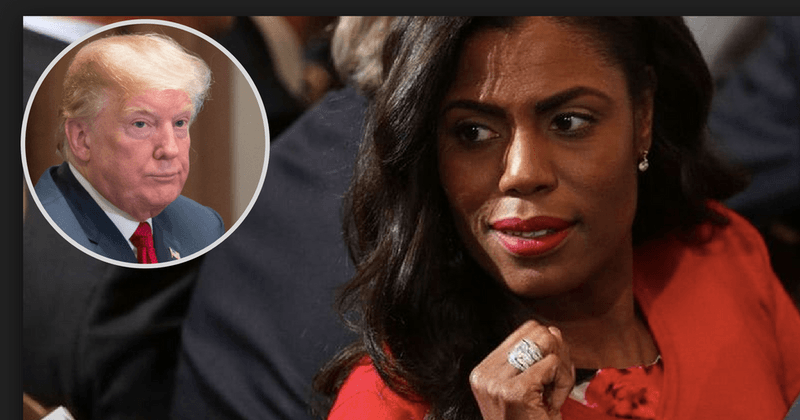 Omarosa's Trump tell-all memoir 'Unhinged' witnesses a 40 percent drop in sales