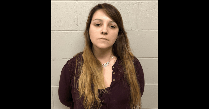 Woman arrested for murdering her two daughters searched 'how to commit the perfect murder'