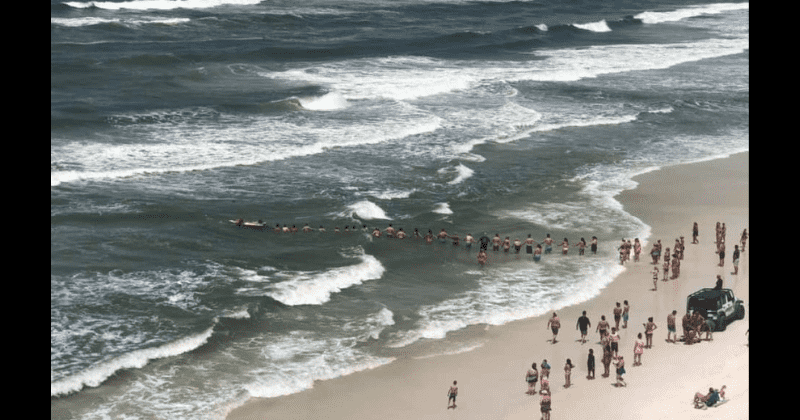Florida beachgoers form human chain to rescue swimmers trapped in deadly current caused by tropical storm Barry