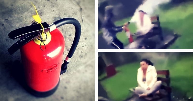 Footage emerges of gang of thugs blasting dry smoke from fire extinguisher into horrified homeless woman's face