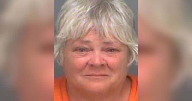 Woman, 58, gropes fellow cruise passenger's buttocks, tells her husband to 'go back to the country you came from'