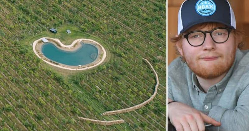 Ed Sheeran lines up hay bales to hide 'wildlife pond' that he turned into $600,000 personal swimming pool