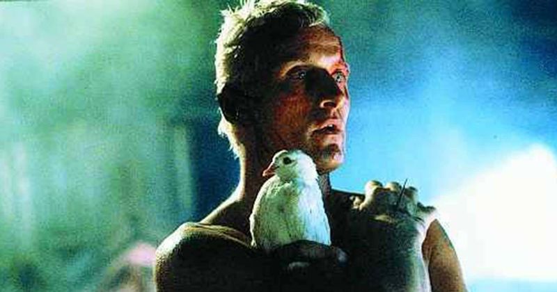 Rutger Hauer: Remembering Roy Batty, the man who had seen things we people would never believe