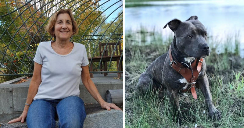 Woman mauled to death by pit bull she adopted just two weeks ago