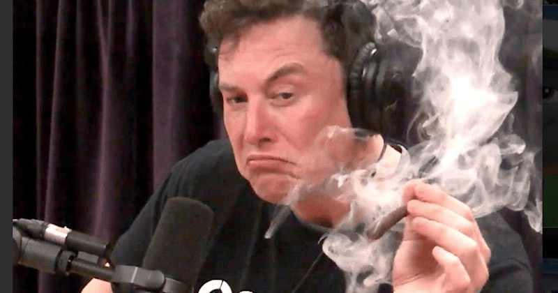 WATCH: Elon Musk smokes weed with Joe Rogan on LIVE interview before imagining "what it's like to be a horse"