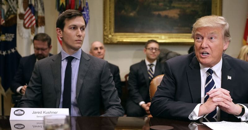 Jared Kushner wrote the 'treasonous' NYT op-ed criticizing Trump's 'petty and ineffective' leadership style, say bookies
