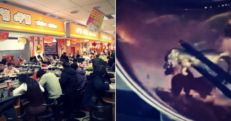 Pregnant woman finds dead rat in soup, restaurant offers her $3,000 to abort pregnancy