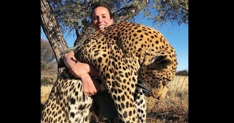 Woman seen smiling for camera holding a leopard she just killed, gets roasted by celebrities