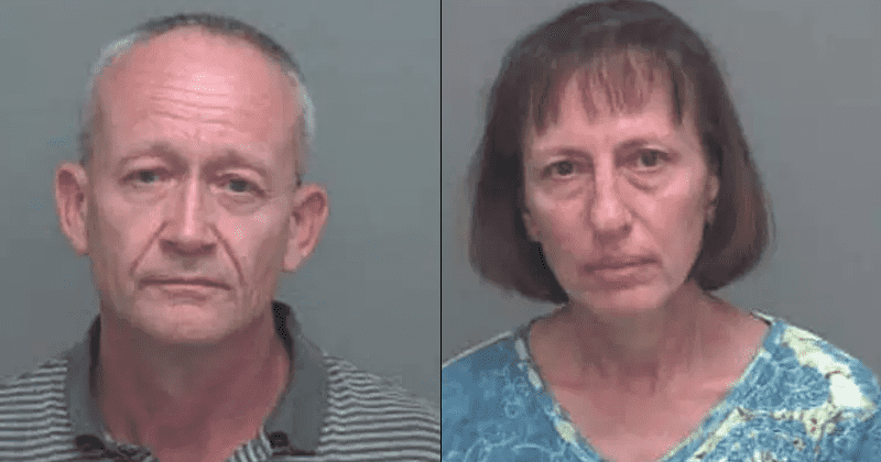Florida twins who escaped from 'doomsday prepper' couple recount horrific sexual abuse: 'We were forced to have sex or starve'