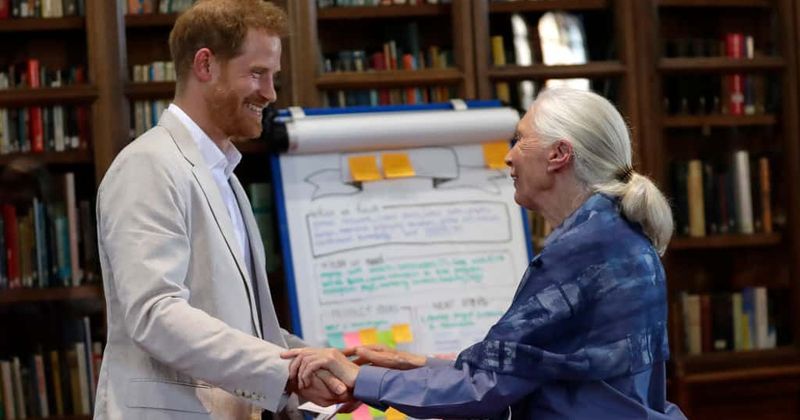 Prince Harry says he wants to have only two children 'maximum' with Meghan Markle in bid to help save the planet