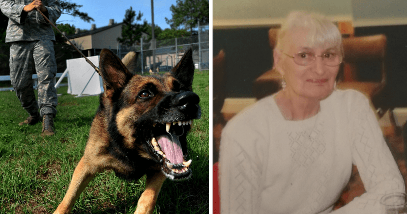 Aggressive police dog hunting for drug dealer repeatedly bites frail pensioner in her own kitchen leading to her death