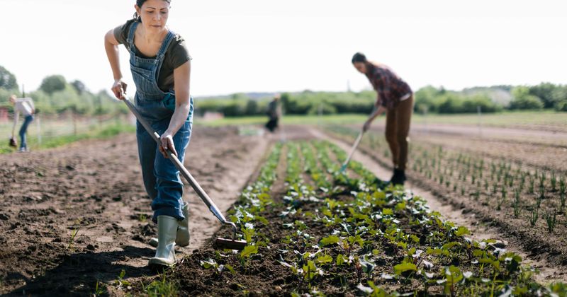 Climate crisis: Simply reducing pollution will not save planet as agriculture is also revealed to be major culprit