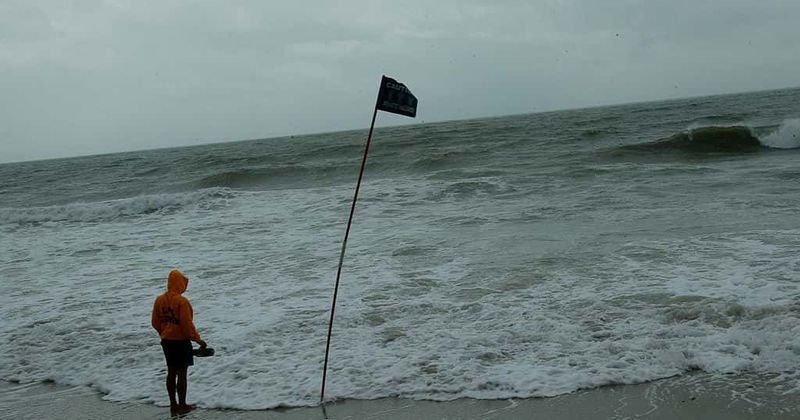 Three siblings, aged 7 to 13, drown in sea during family trip to beach, fourth child rescued by onlooker