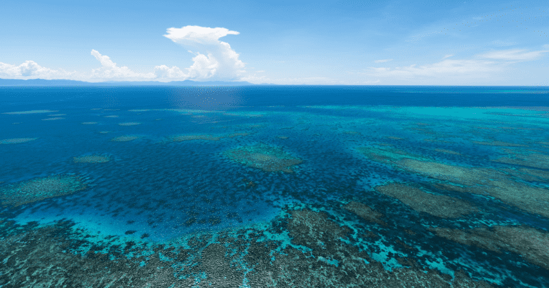 Over 45% of Australia’s coastal marine ecosystems have been damaged by extreme climate