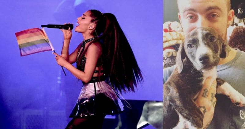 Mac Miller's dog Myron finds comfort in Ariana Grande