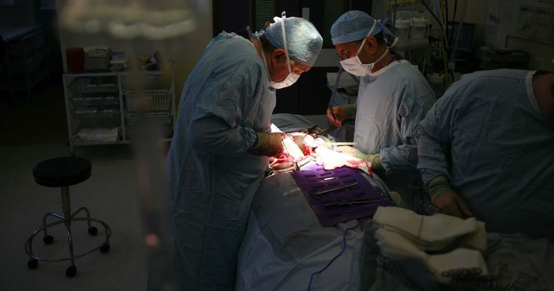 US discards thousands of donor kidneys each year as close to 5,000 Americans die waiting for a transplant