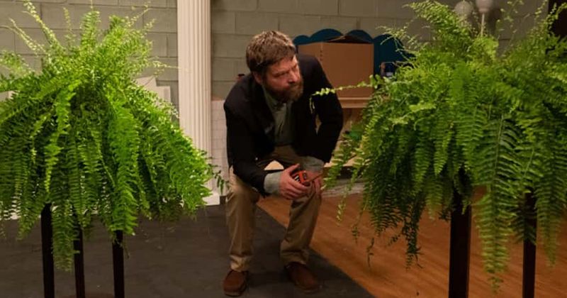 'Between Two Ferns: The Movie': From Obama to Cardi B, celebrities we’d love to see back in new film about Zach Galifianakis' show