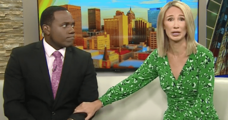 TV anchor apologizes after comparing black co-anchor to a gorilla during segment on Oklahoma zoo: 'It looks like you'