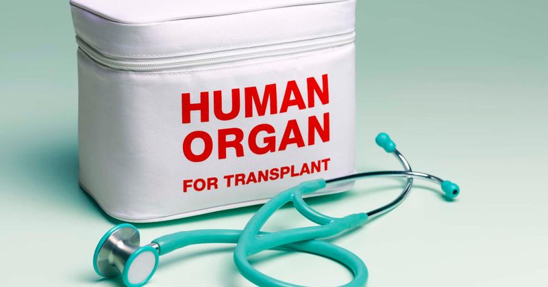 Missed opportunity: Despite one donor kidney offer, nearly one-third of Americans die or are removed from waiting list without transplant