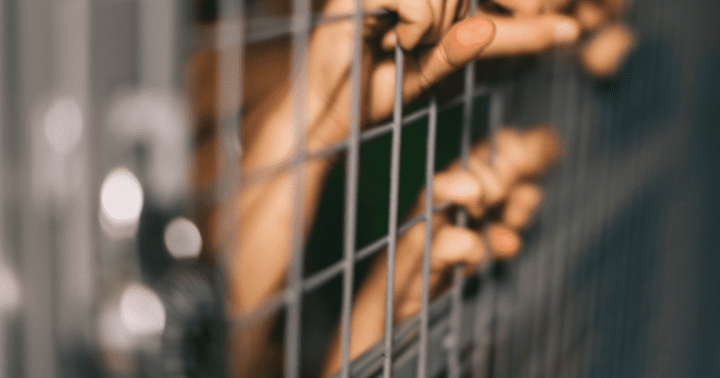 Youths with a parent in prison, juvenile justice history three times likely to get depression, PTSD than peers