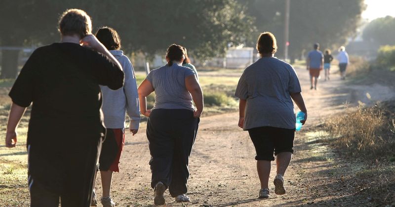 Genetic factors that raise obesity risk in adults seem to start taking effect from ages 4 to 6