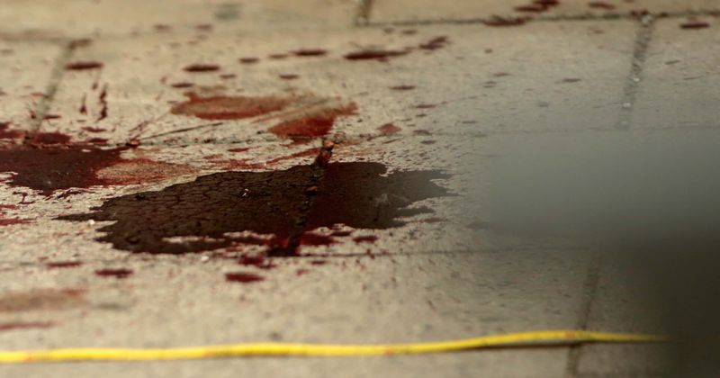 Vegan activist is covered in blood after farmers 'shoot' through her car window for freeing 14 rabbits