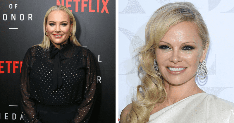 Pamela Anderson furiously defends Julian Assange during heated debate with Meghan McCain who called him a 'cyber-terrorist'