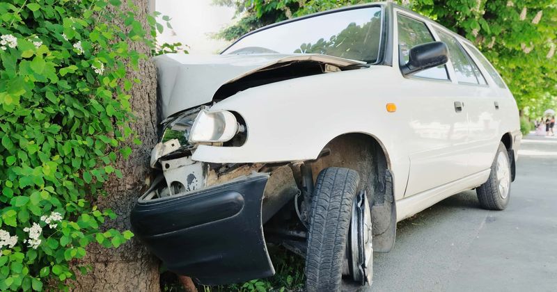 Georgia college volleyball player, 21, dies after her car crashes into tree while hurrying home ahead of Hurricane Dorian