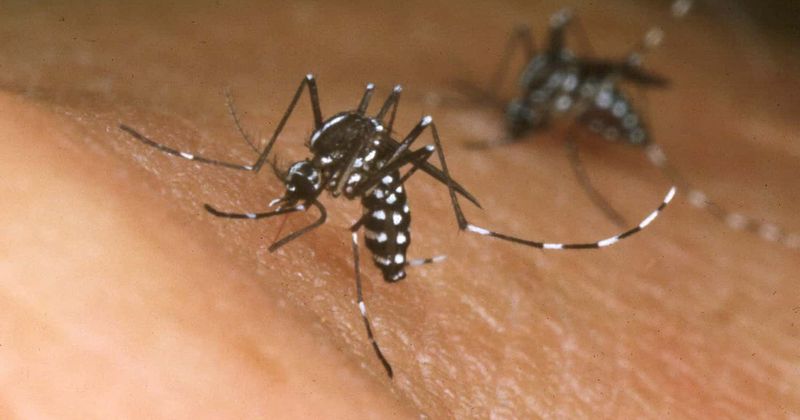 Malaria can be eradicated by 2050 if an extra $2 billion is spent annually, say global experts