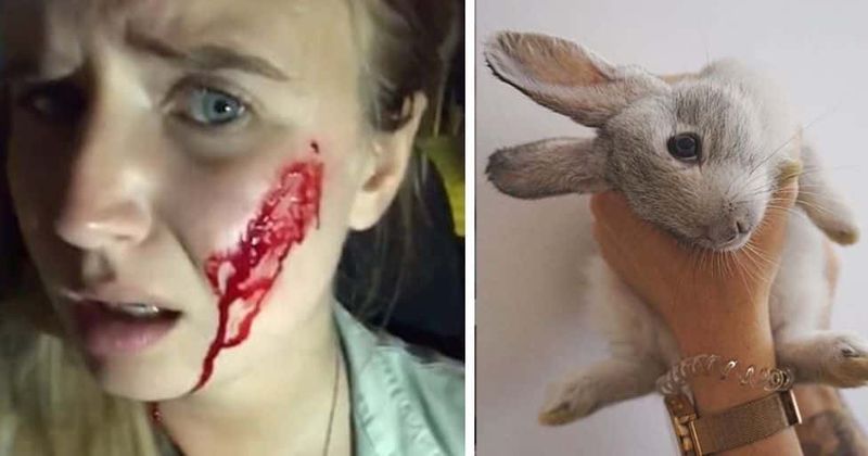Vegan activist who claimed to have 'rescued' 14 rabbits in violent raid actually caused the death of 90 other bunnies