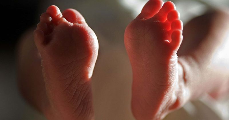 Illinois hospital left infants to die in a 'soiled utility room' after they survived abortion during second or third trimesters, says nurse