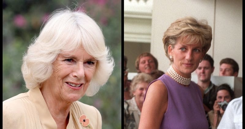Camilla was terrified after Diana's sudden death in car crash in 1997, feared she would be next, claims new book