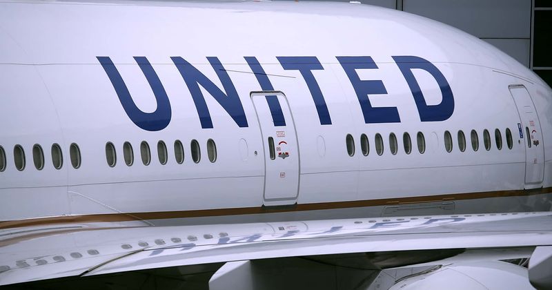 Florida family says their pet dog 'fried' to death on United Airlines flight after it was put in hot cargo hold