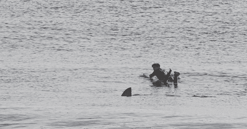 Surfer spots great white shark swimming few feet away from him in Cape Cod as terrifying encounter is caught on camera