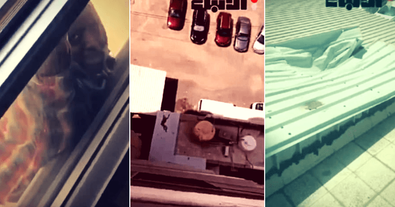 Kuwaiti woman jailed filming housemaid falling seventh floor balcony fell