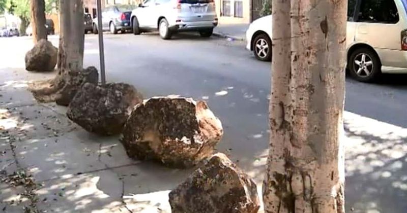 San Francisco residents spend $2,000 on boulders to stop homeless people from sleeping on sidewalks