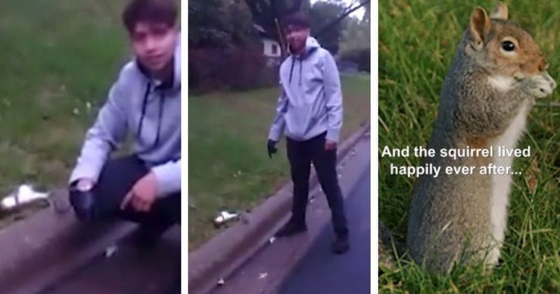 Adorable moment driver gives a squirrel CPR and brings it back to life after he accidentally hit it with his car