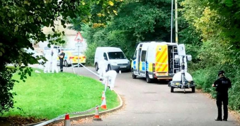 16-year-old charged with rape and attempted murder of 10-year-old girl who was found in a 'state of distress'