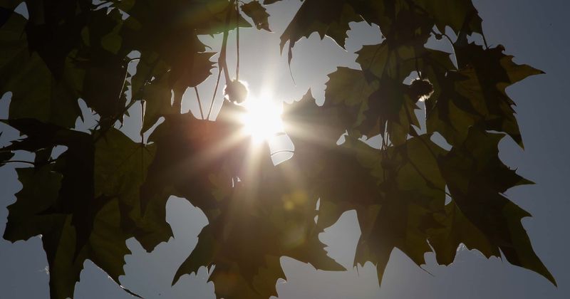 Sunlight can break down polystyrene in just decades, instead of thousands of years as expected earlier, finds study
