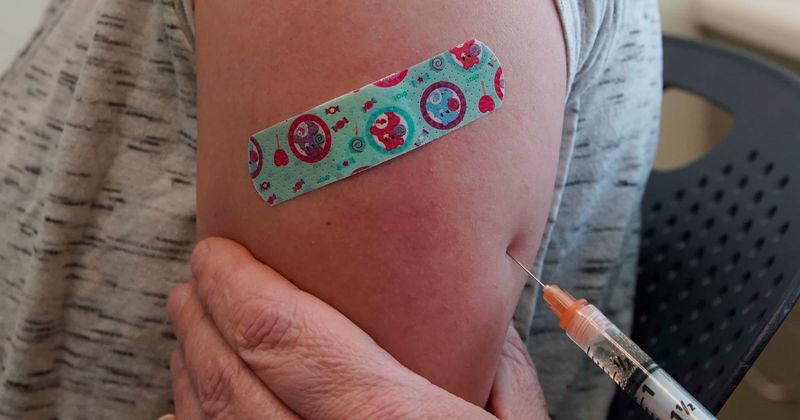 Vegans join anti-vaxx campaign, say children should not be given vaccines as they are made from animal products
