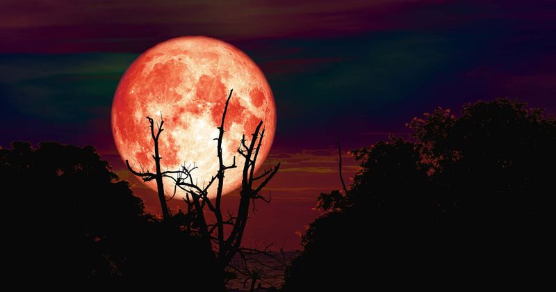 Hunter's Moon: How and where to watch the lunar marvel over the next three days