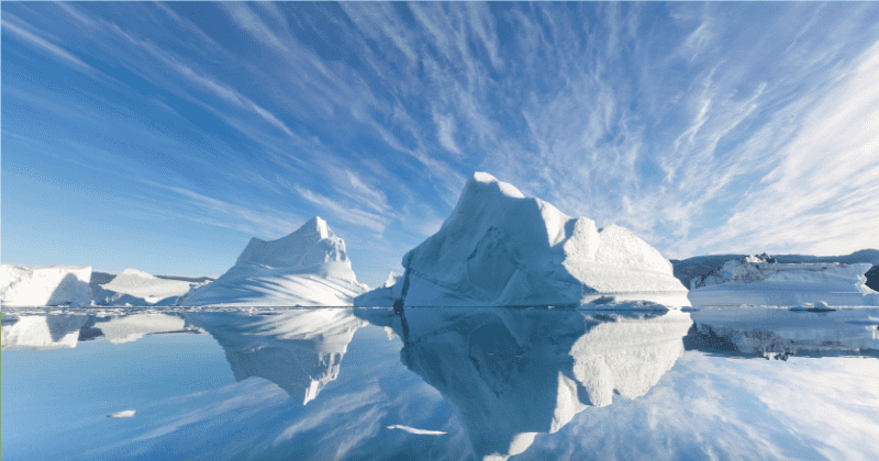 Plants and animals in the Arctic failed to reproduce in 2018 as climate change brought unusually high snowfall: Researchers