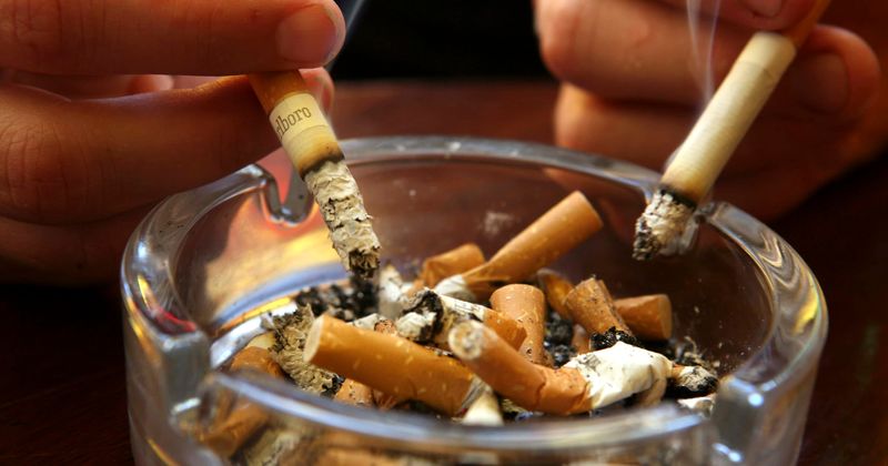 Pregnant women consuming a relatively safe tobacco product may have children with high blood pressure, scientists say