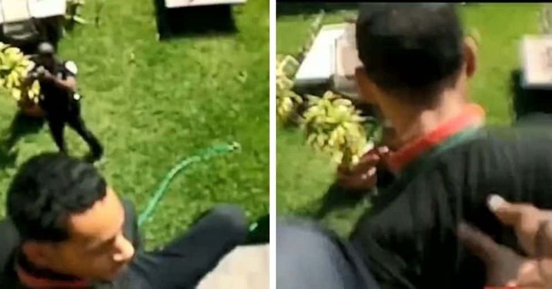 Florida cops seen pushing 18-year-old off roof, tasing him after he hits the ground in horrific bodycam video