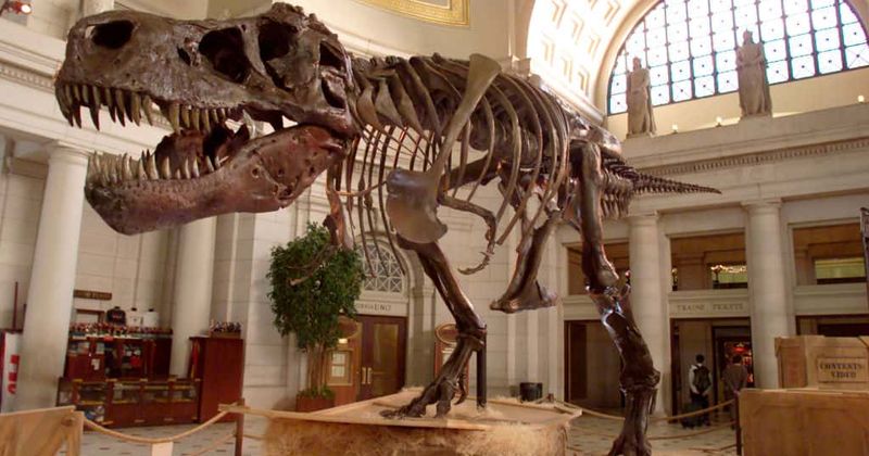 To battle overheating, different giant dinosaurs devised different coping mechanisms