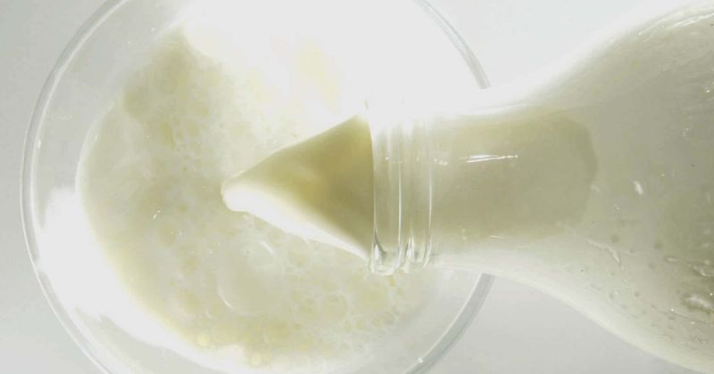 Swapping high-dairy diet with plant-based one can reduce risk of prostate cancer, says study