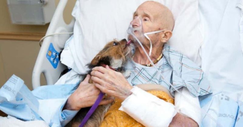 Vietnam war hero reunites with pet dog one last time at New Mexico hospital after it is put up for adoption