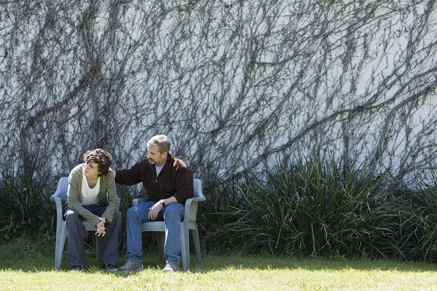 Carell and Chalamet do most of the dramatic heavy lifting in the film (IMDb)