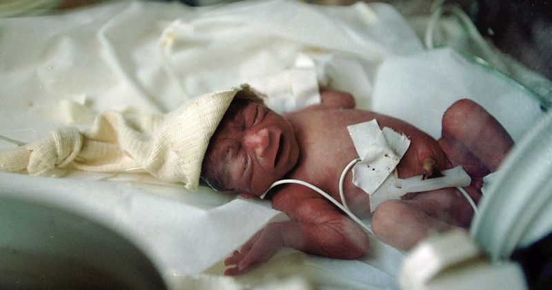 Scientists detect proteins, bacteria in vagina to identify women at risk of premature birth